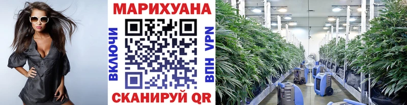 Бошки марихуана White Widow  это клад  Гороховец  гидра ссылка 